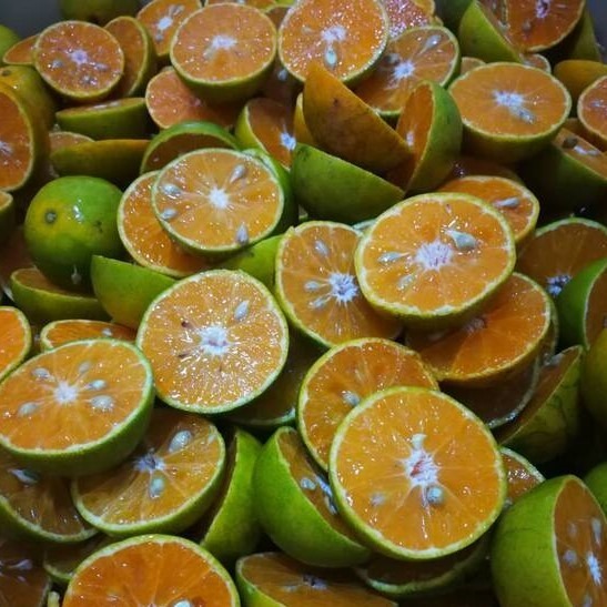 โรงงานน้ำส้มคั้นบรรจุขวด