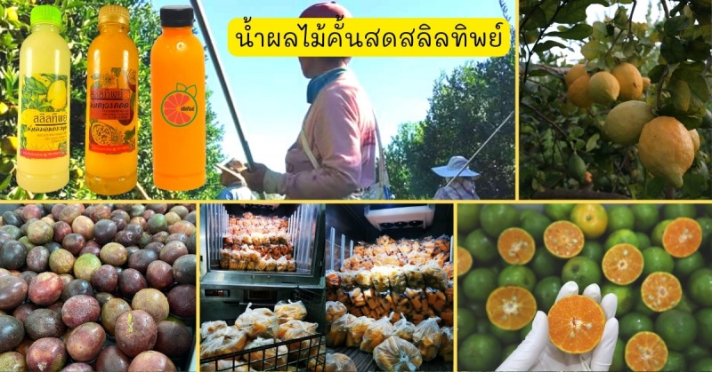 โรงงานผลิตน้ำส้ม พระราม 2